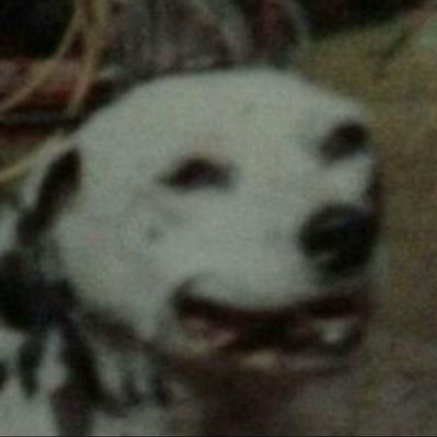 dumbmeattree